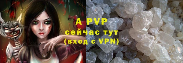 стафф Михайлов