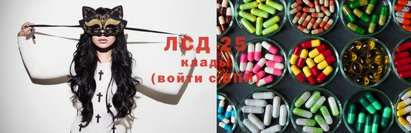 стафф Медногорск