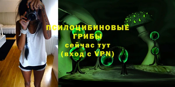 MDMA Premium VHQ Михайловка
